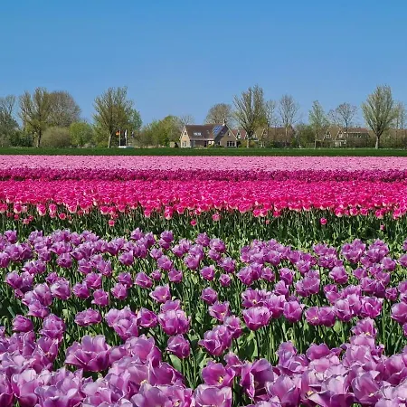 560 Op Recreatiepark De Wielen Chalet Sint Maarten